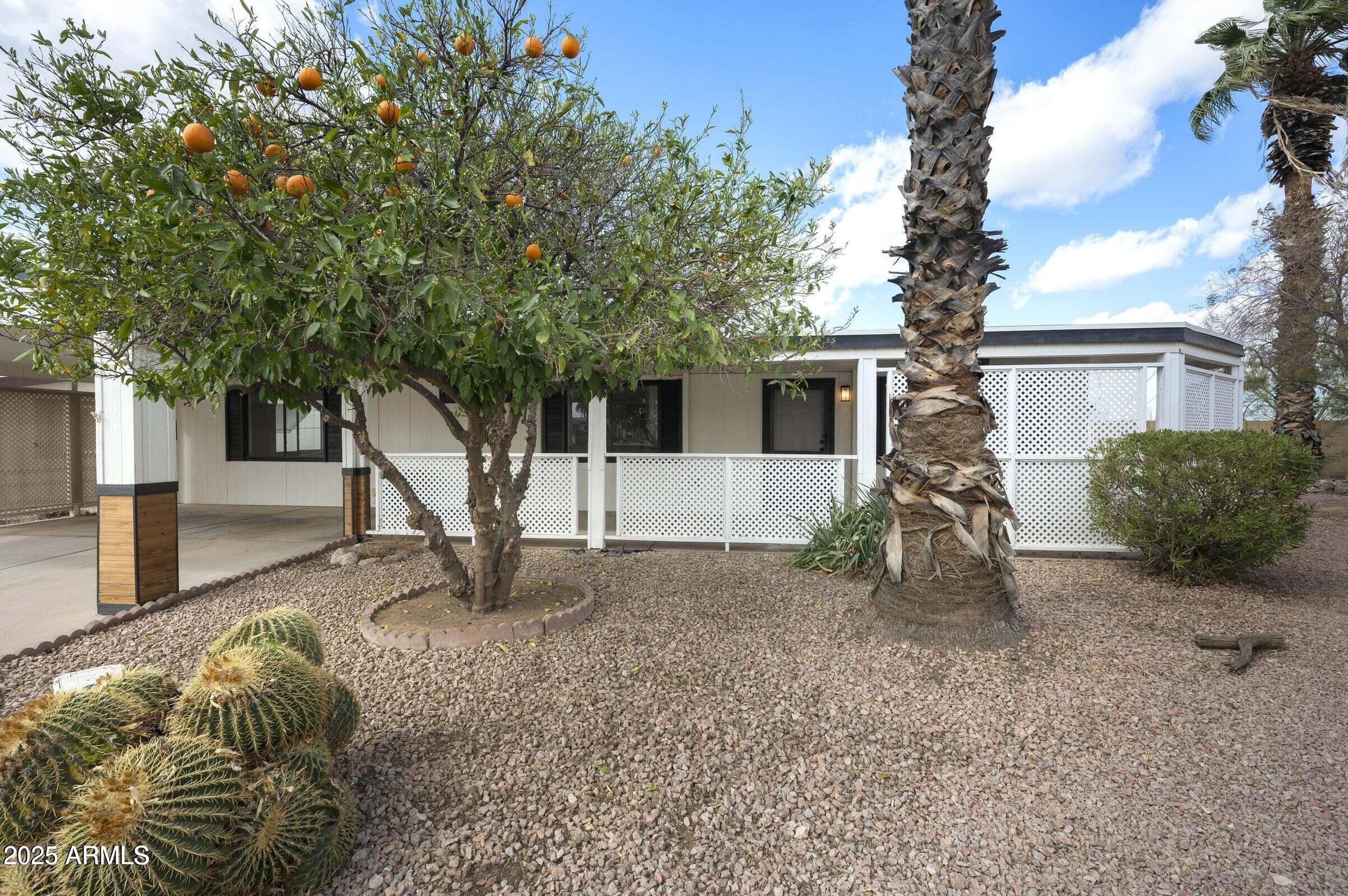 3500 South Tomahawk Road, Unit 126 Apache Junction, AZ 85119 - Photo 27 of 38 a view of a house with backyard and trees