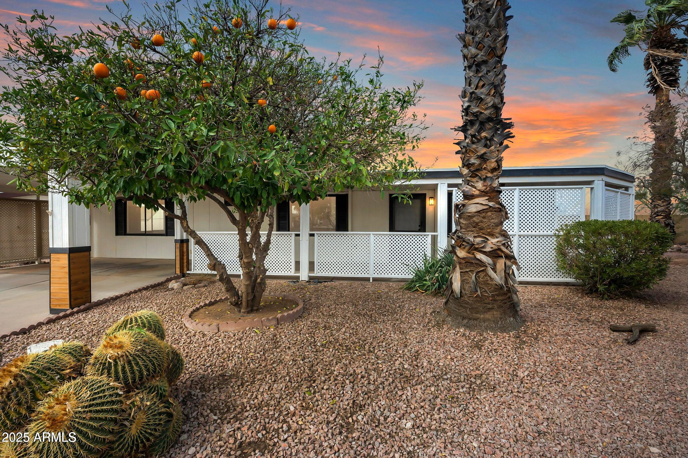3500 South Tomahawk Road, Unit 126 Apache Junction, AZ 85119 - Photo 28 of 38 a view of a house with backyard and trees