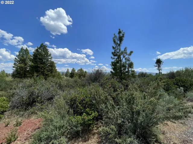 $34,900 | David Street, Unit 1, Chiloquin, OR 97624