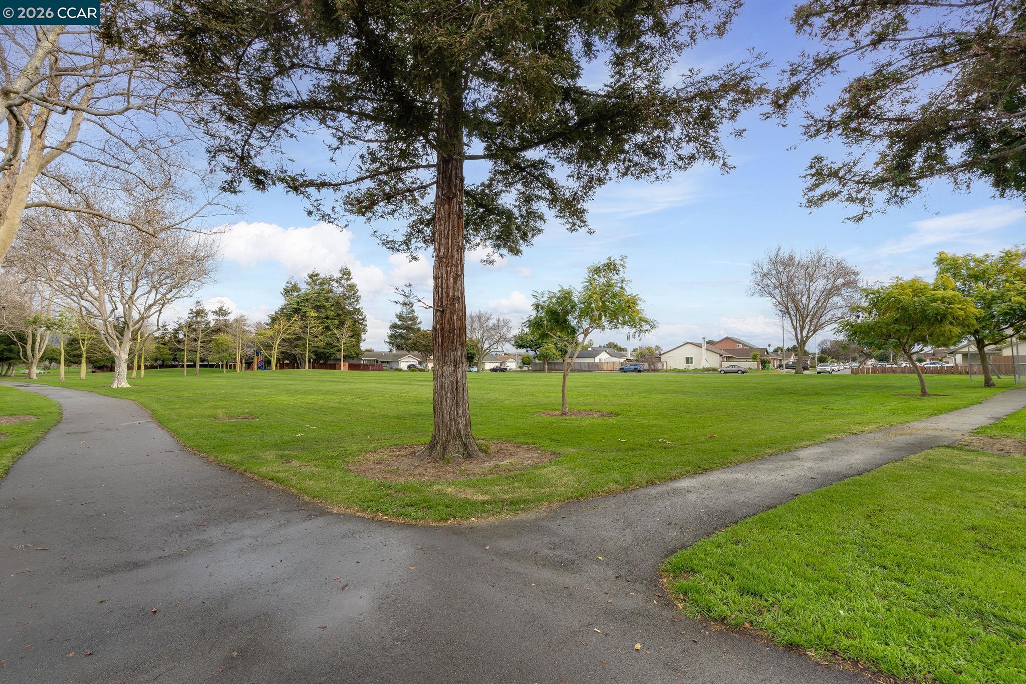 31303 Santa Rita Way Union City, CA 94587 - Photo 50 of 52