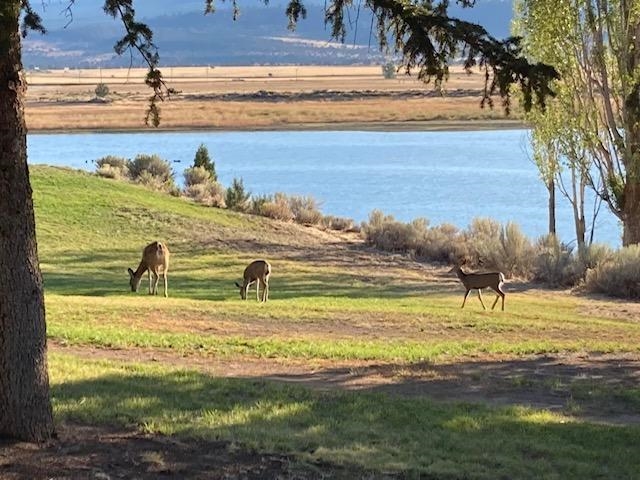 0 Felicia Road Alturas, CA 96101 - Photo 2 of 2