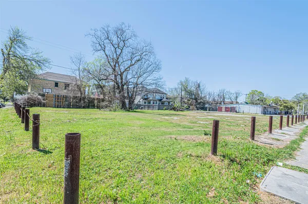 a view of a garden with plants