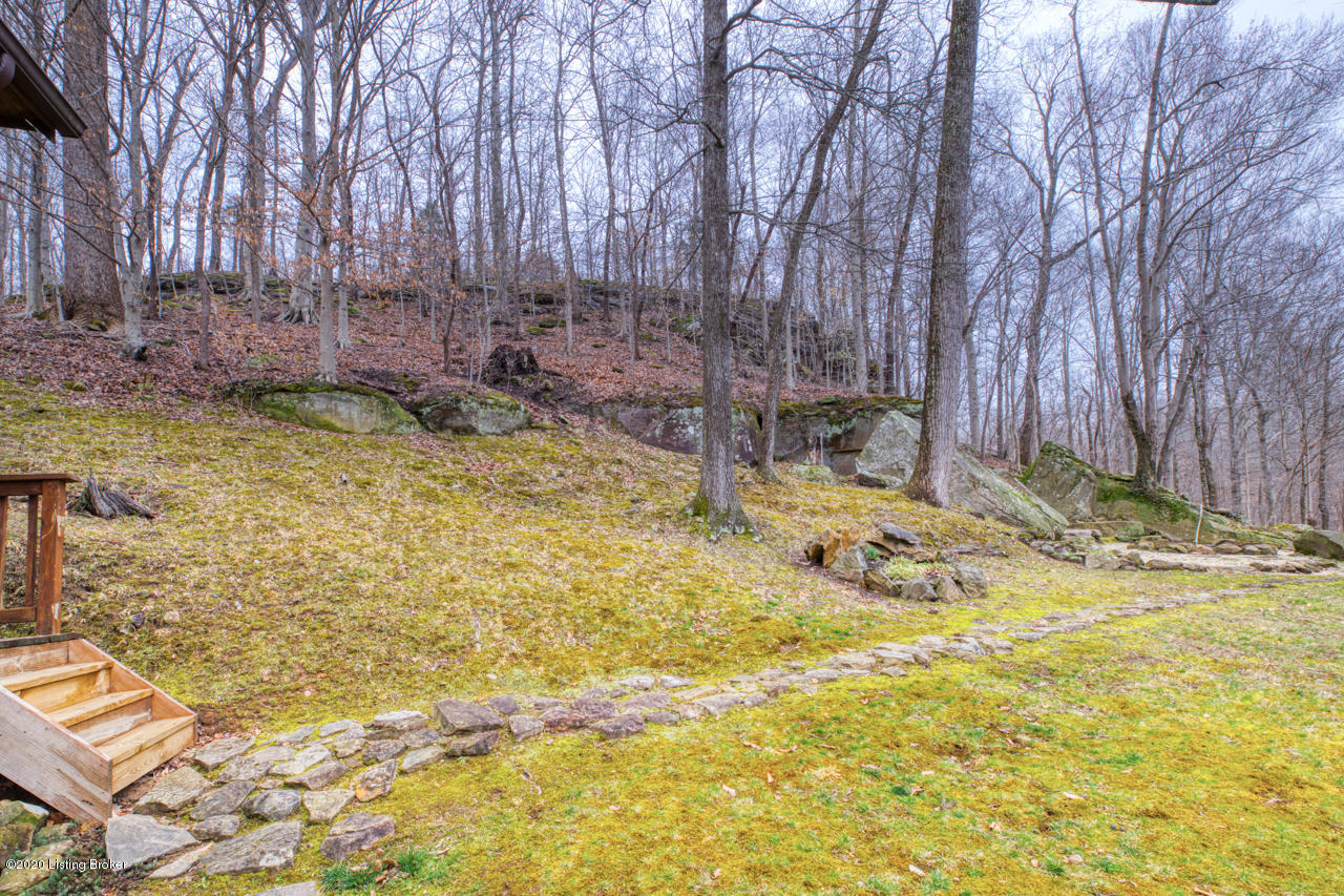 436 Out Post Road Leitchfield, KY 42754 - Photo 32 of 46 Lovely wooded lot and fire pit area