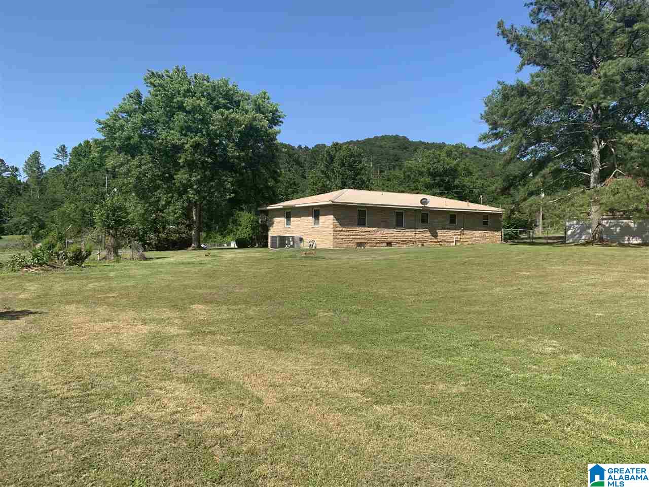 100 Boat Landing Road Oneonta, AL 35121 - Photo 4 of 20