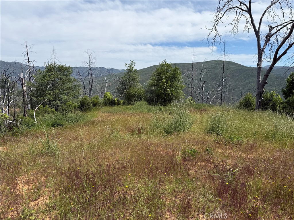 1833 Hunter Point Road Upper Lake, CA 95485 - Photo 18 of 20 a view of a backyard