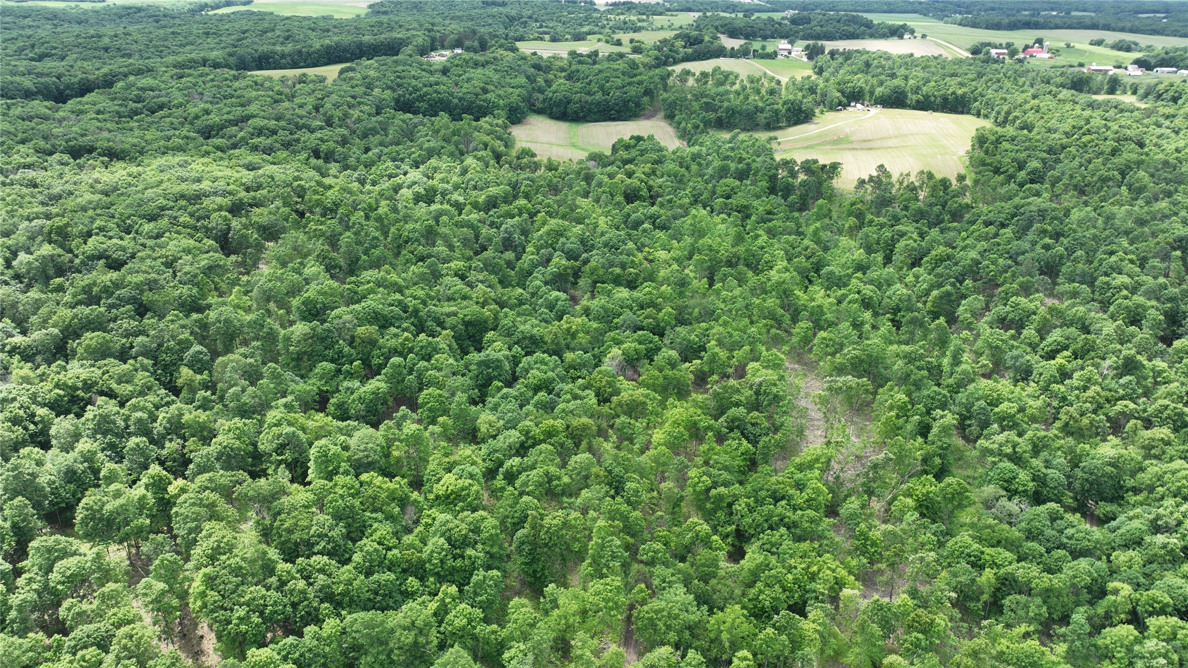 Xx County Rd Q Downing, WI 54734 - Photo 21 of 45