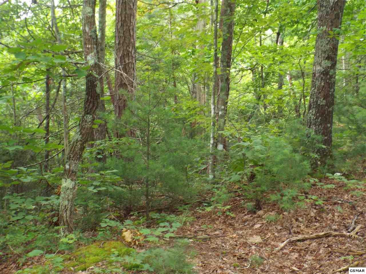 0 Huskey Grove Road Sevierville, TN 37876 - Photo 4 of 11