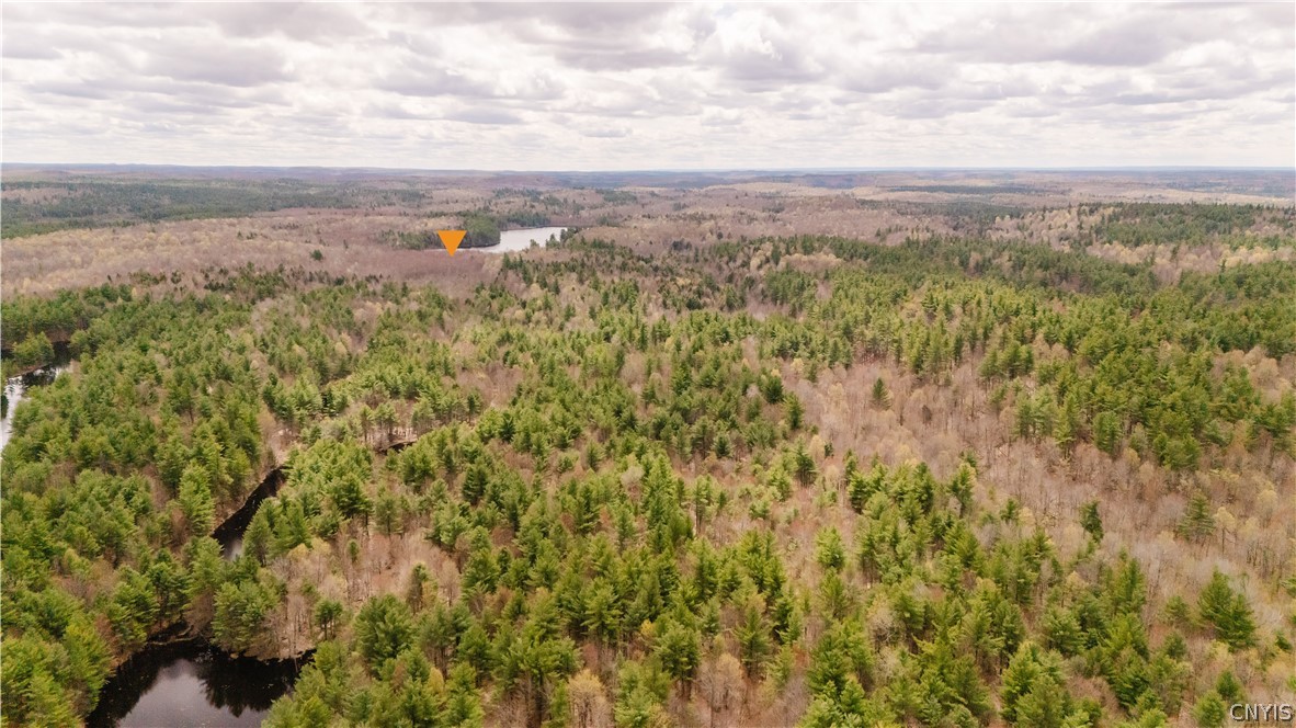 0 Bingo Road Edwards, NY 13635 - Photo 21 of 49
