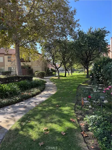 a view of a yard with plants and large trees