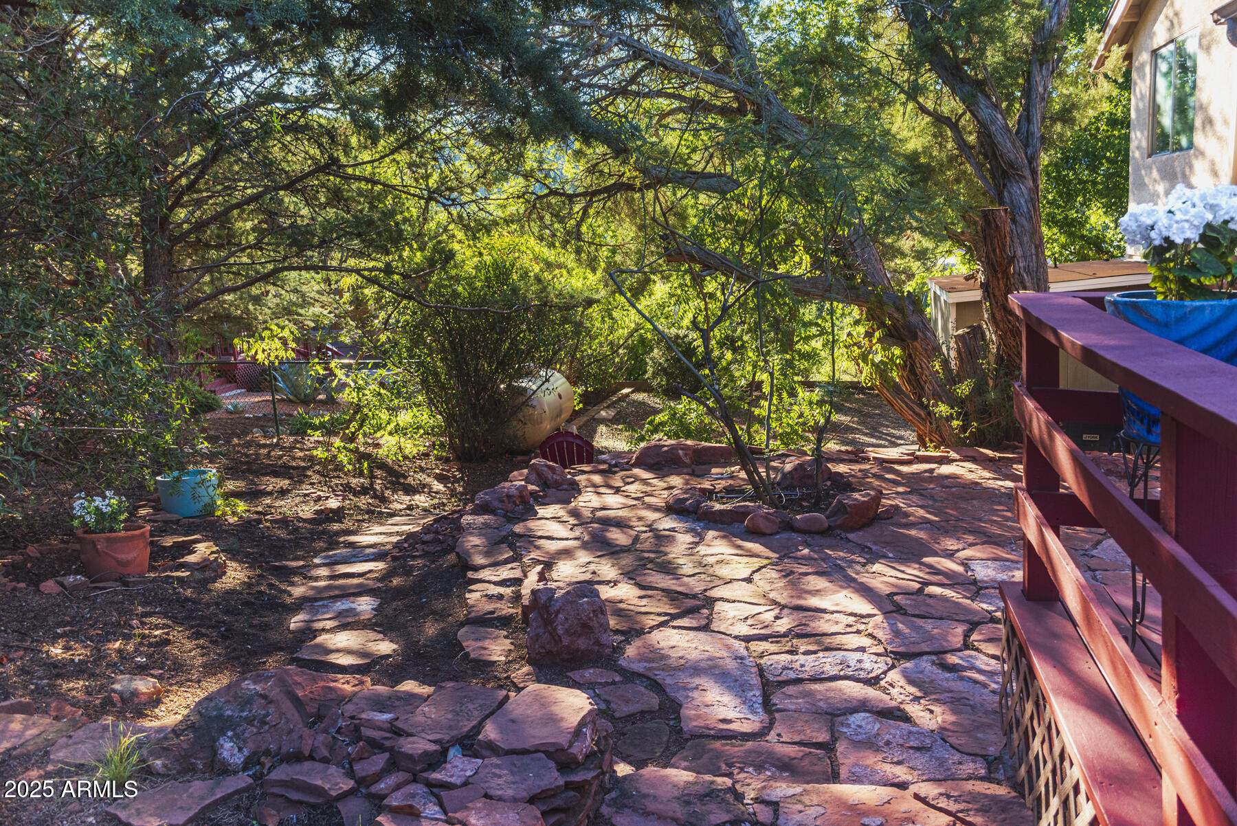 120 Indian Ruin Road Sedona, AZ 86351 - Photo 34 of 46 a picture of tree