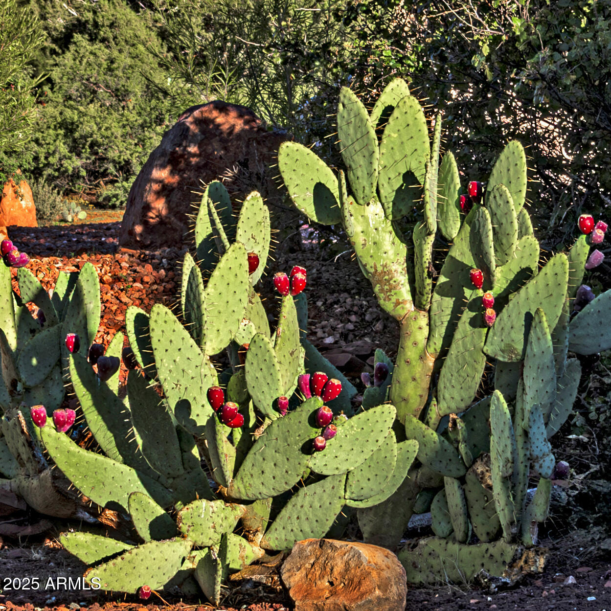 120 Indian Ruin Road Sedona, AZ 86351 - Photo 36 of 46