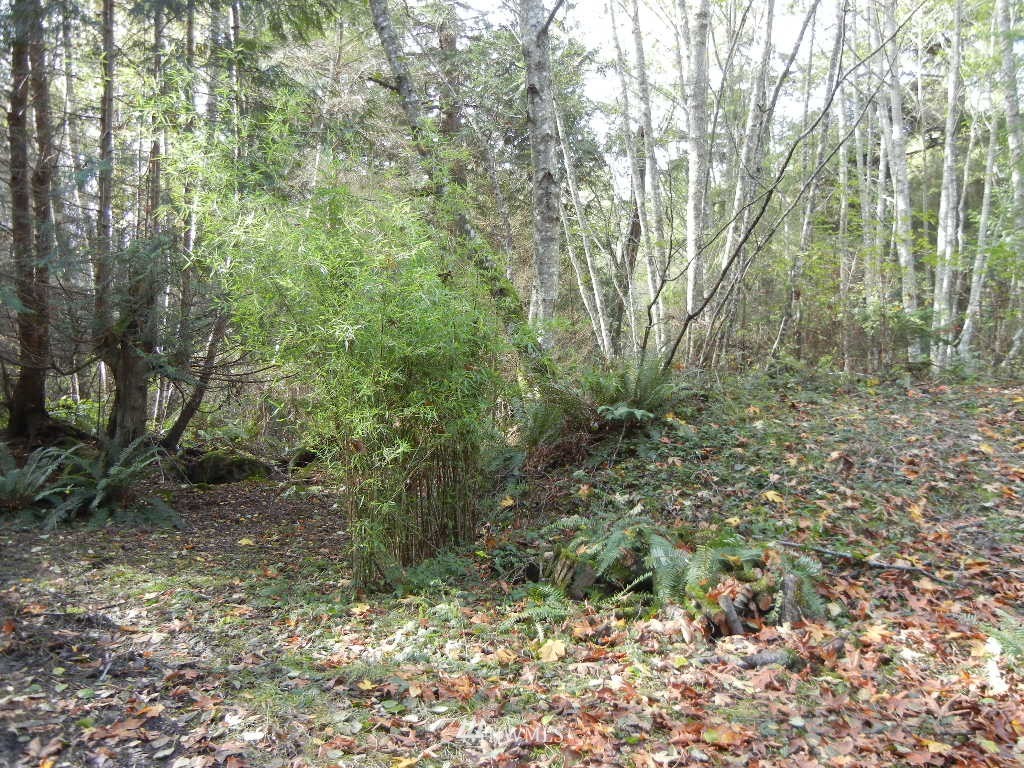 4738 West Shore Road Guemes Island, WA 98221 - Photo 13 of 21 Gallery Image 13