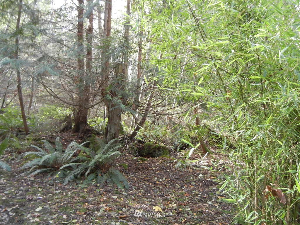 4738 West Shore Road Guemes Island, WA 98221 - Photo 14 of 21 Gallery Image 14