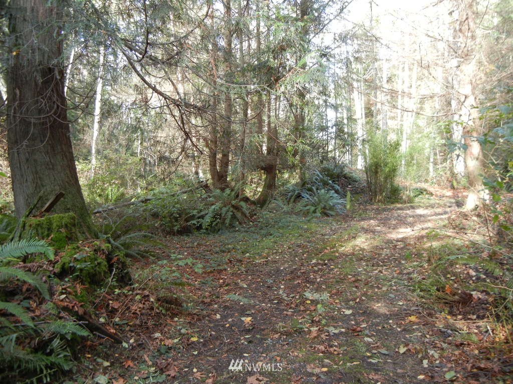 4738 West Shore Road Guemes Island, WA 98221 - Photo 15 of 21 Gallery Image 15