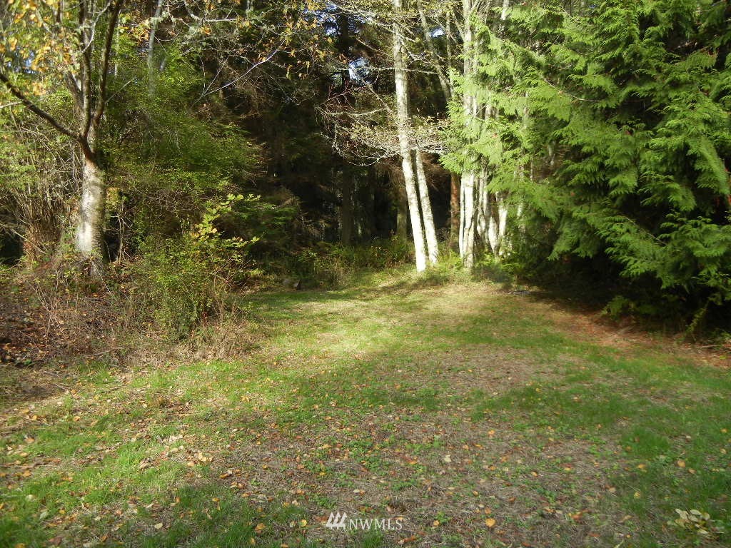 4738 West Shore Road Guemes Island, WA 98221 - Photo 17 of 21 Gallery Image 17