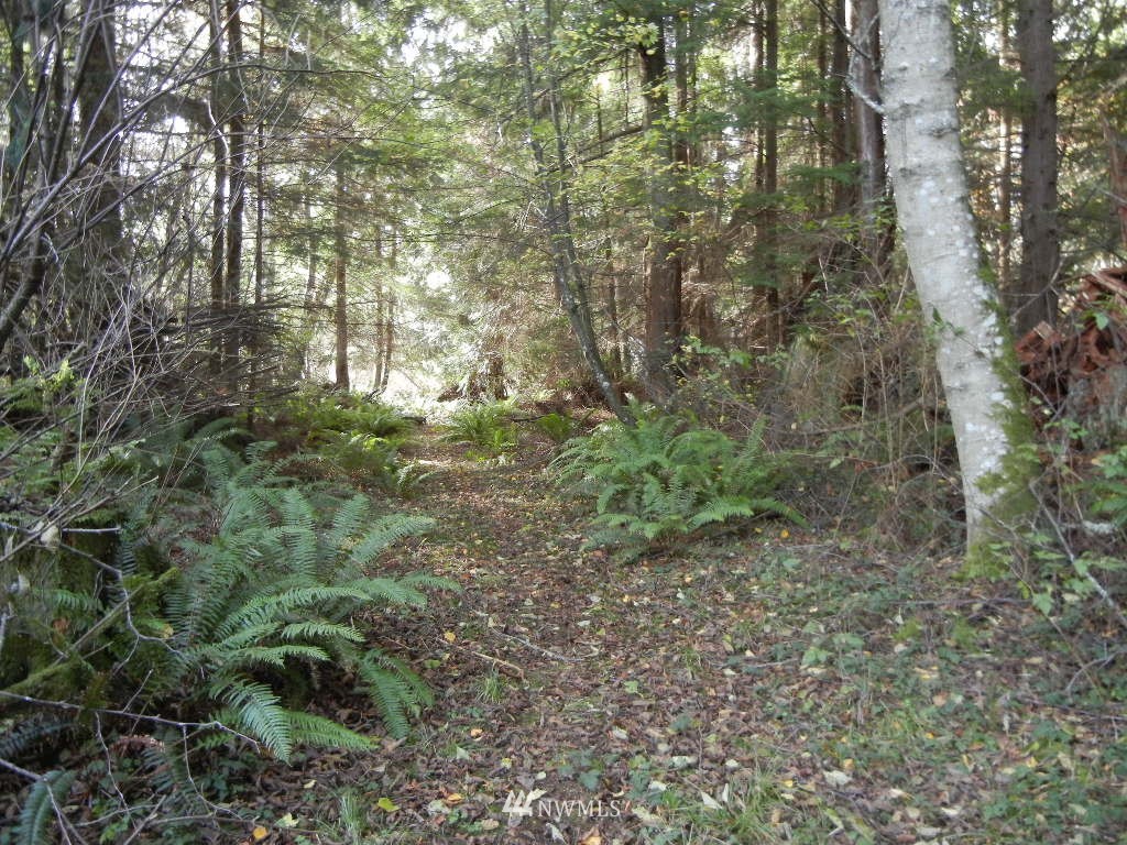 4738 West Shore Road Guemes Island, WA 98221 - Photo 19 of 21 Gallery Image 19