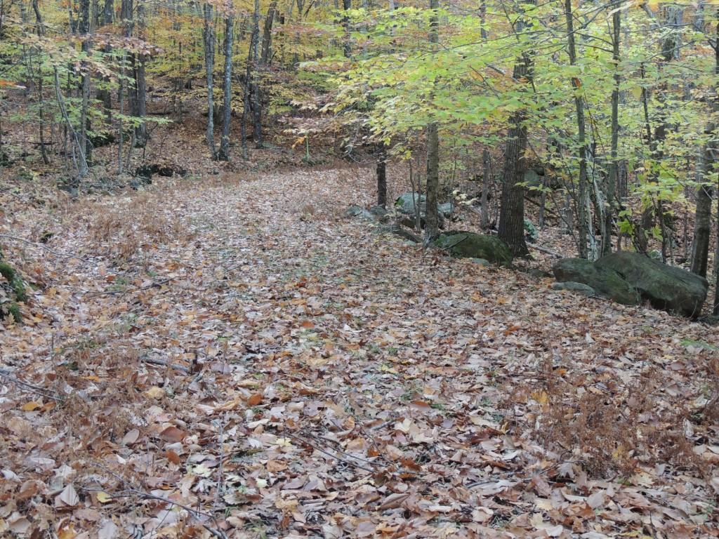 442 Molyneaux Road Camden, ME 04843 - Photo 2 of 11 Photo
