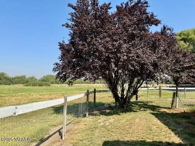 a view of a yard with an trees