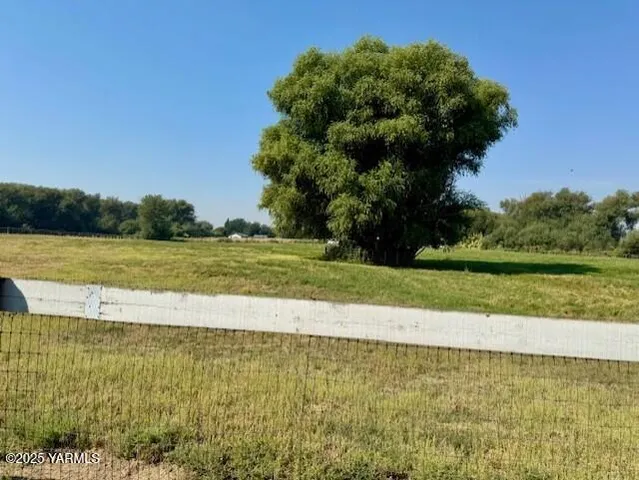a view of a yard with a large trees
