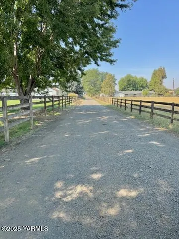a view of a yard with a large tree