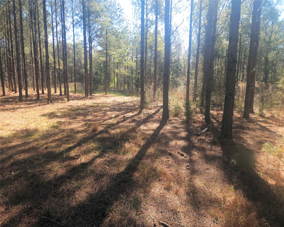 0 Ora Road Gray Court, SC 29645 - Photo 11 of 21