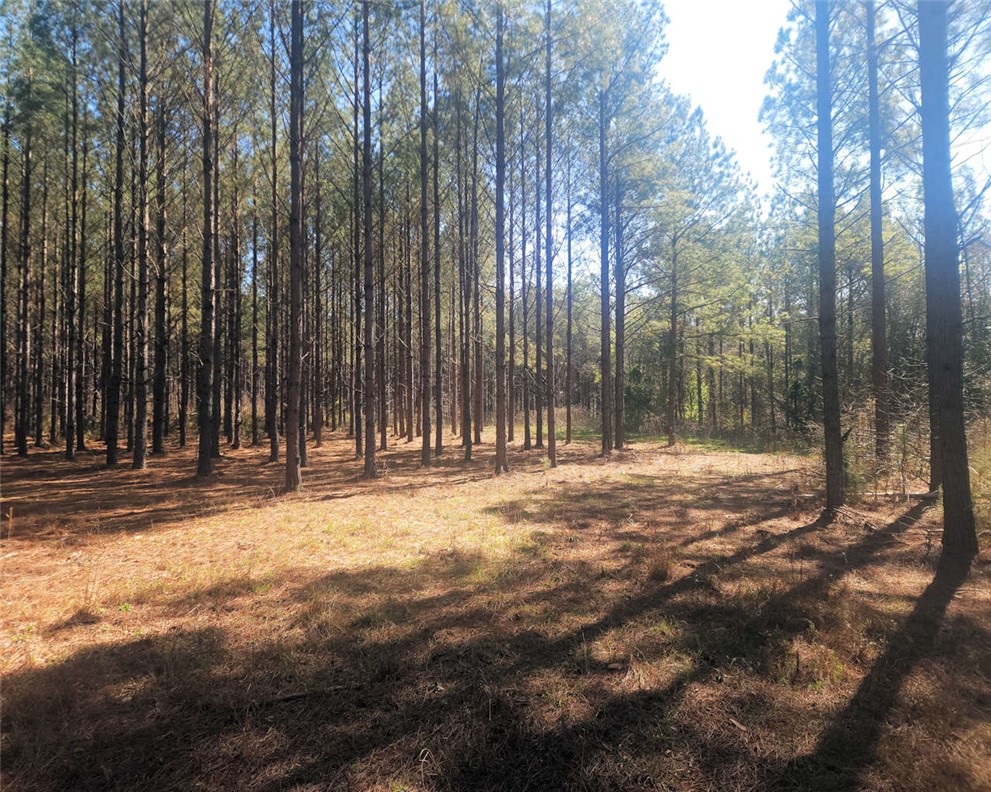 0 Ora Road Gray Court, SC 29645 - Photo 12 of 21