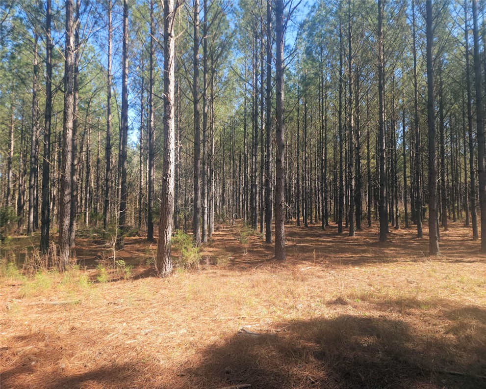 0 Ora Road Gray Court, SC 29645 - Photo 13 of 21