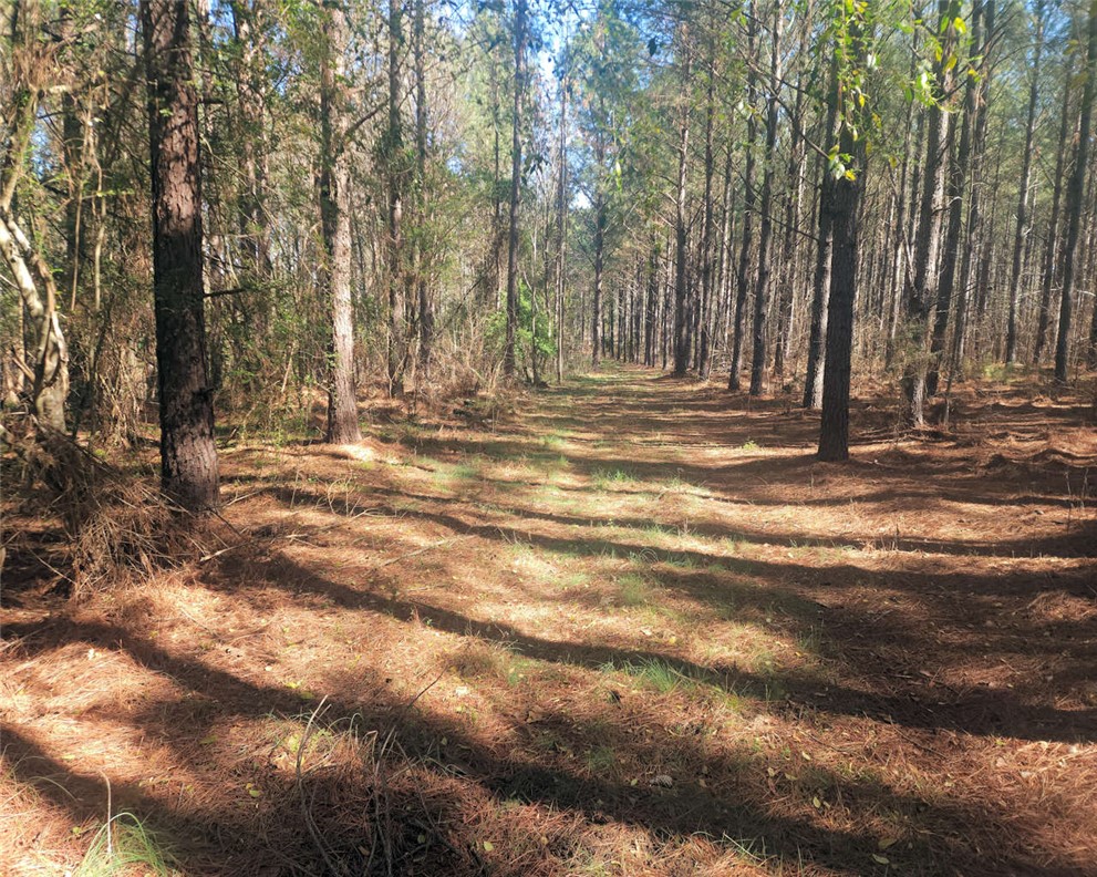 0 Ora Road Gray Court, SC 29645 - Photo 15 of 21