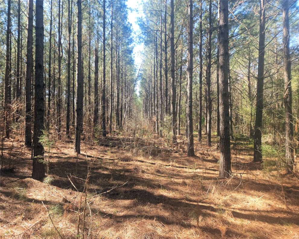 0 Ora Road Gray Court, SC 29645 - Photo 16 of 21