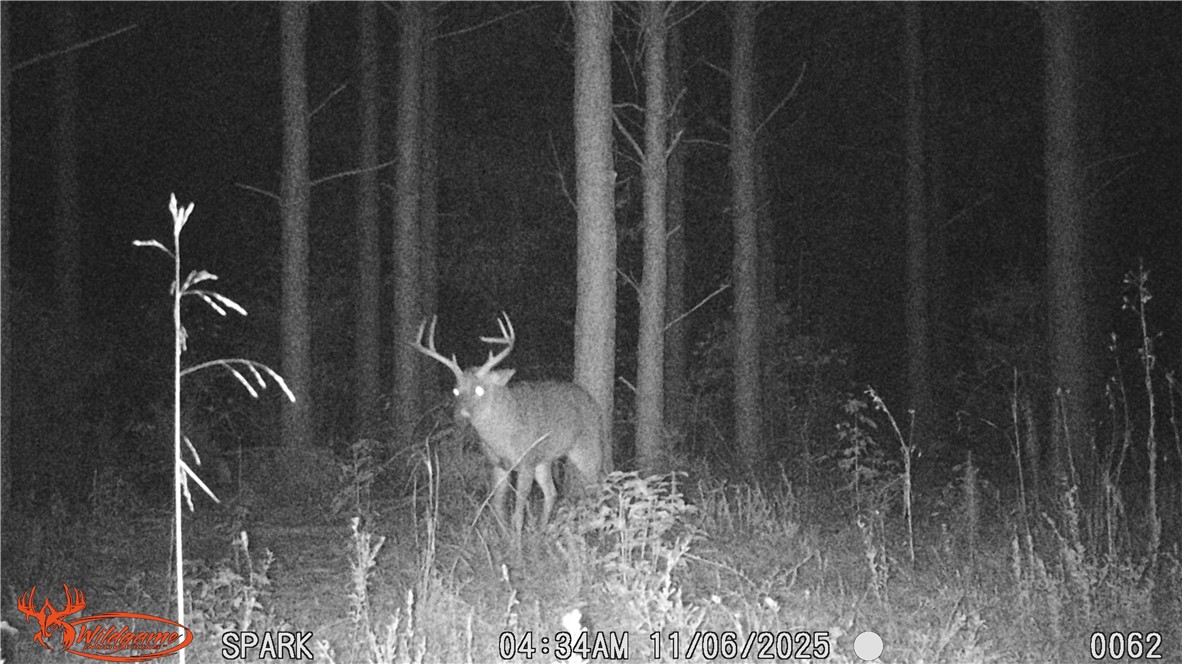 0 Ora Road Gray Court, SC 29645 - Photo 18 of 21