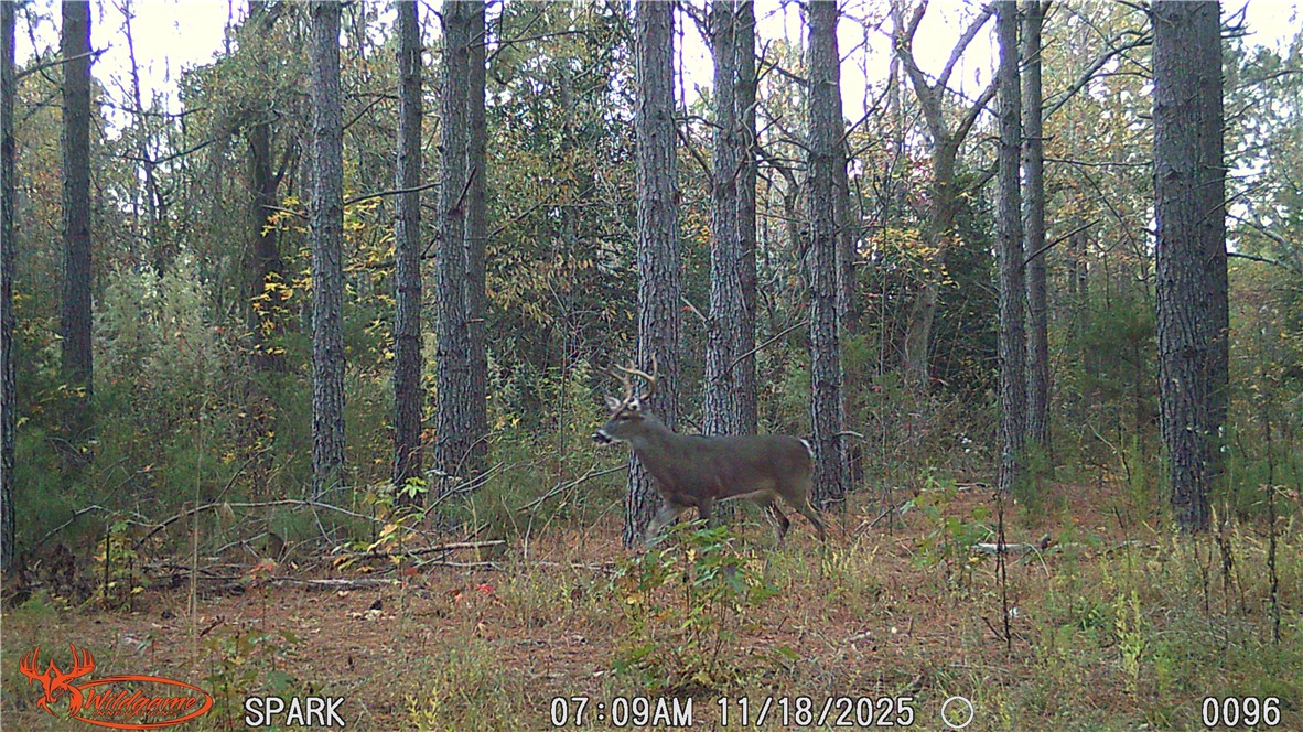 0 Ora Road Gray Court, SC 29645 - Photo 19 of 21