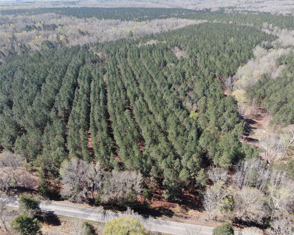 0 Ora Road Gray Court, SC 29645 - Photo 20 of 21