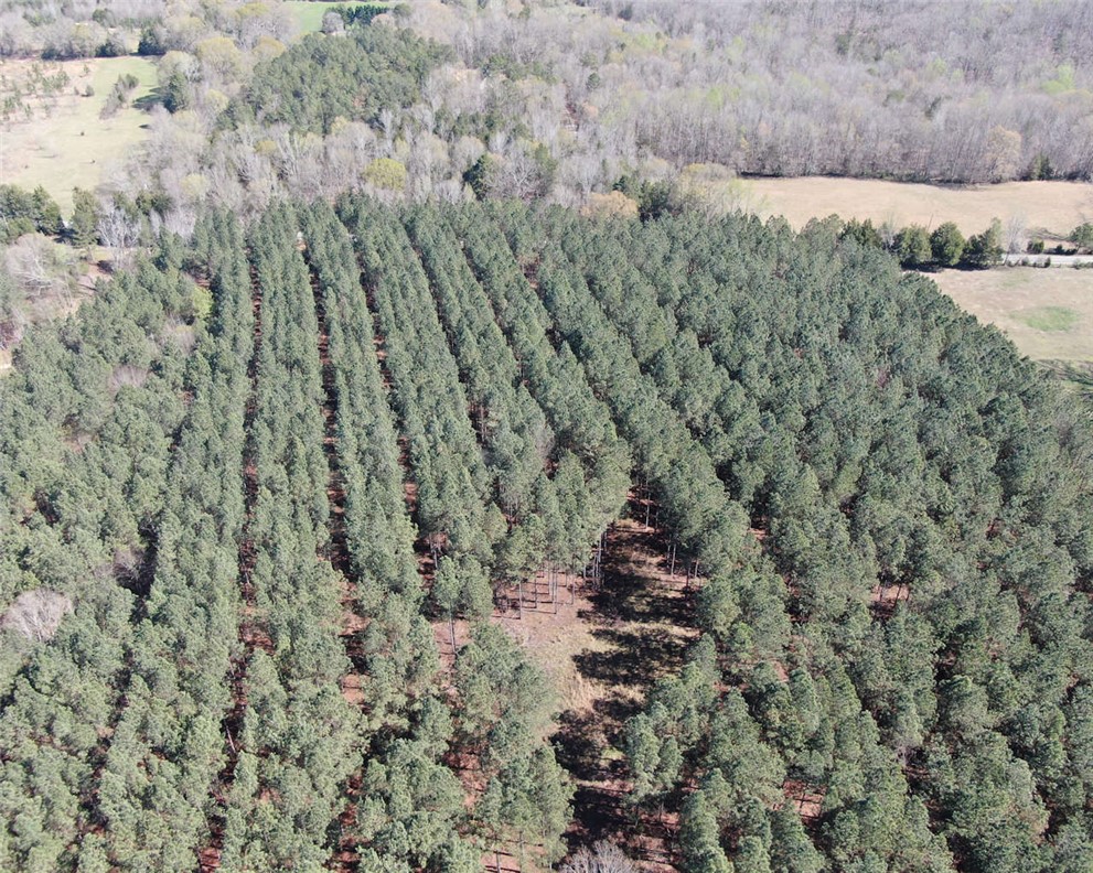 0 Ora Road Gray Court, SC 29645 - Photo 21 of 21