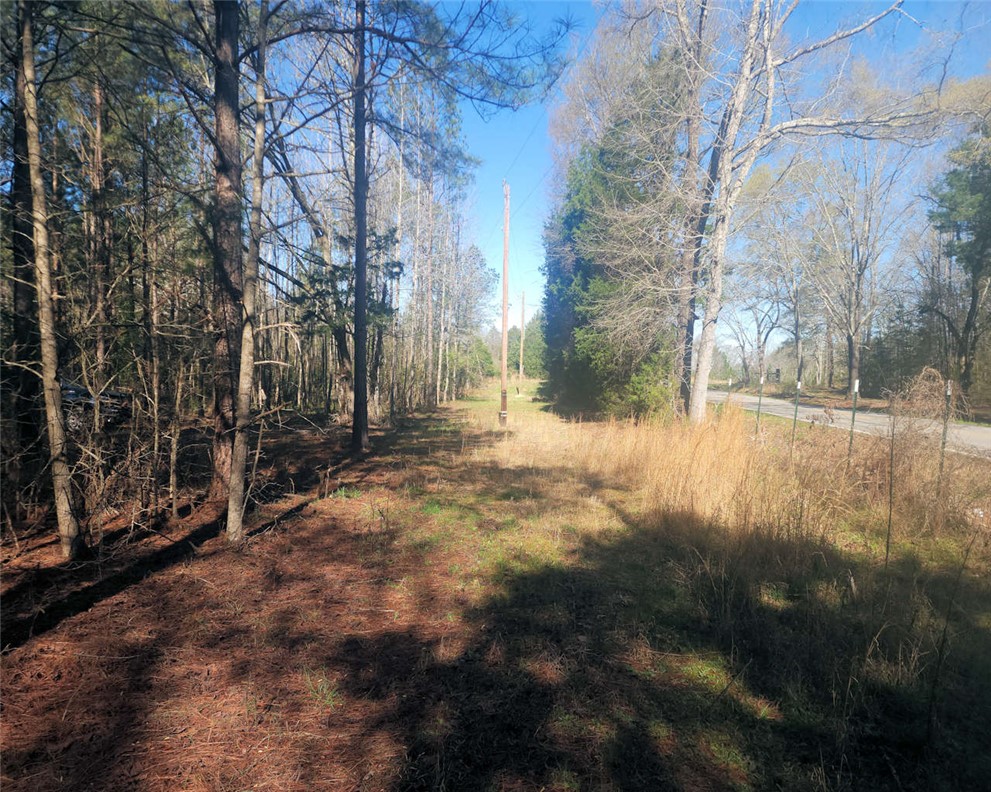 0 Ora Road Gray Court, SC 29645 - Photo 3 of 21