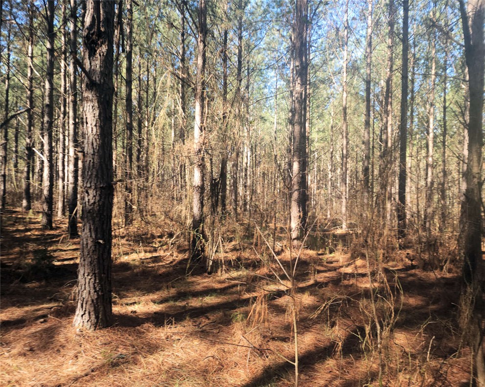 0 Ora Road Gray Court, SC 29645 - Photo 4 of 21