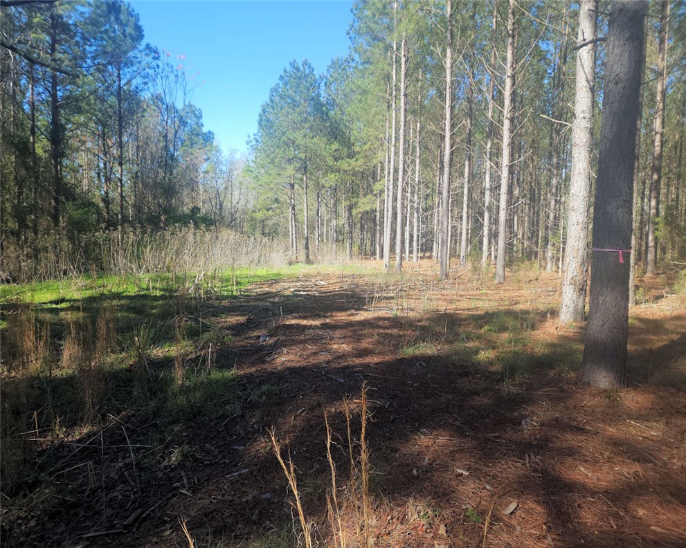 0 Ora Road Gray Court, SC 29645 - Photo 6 of 21