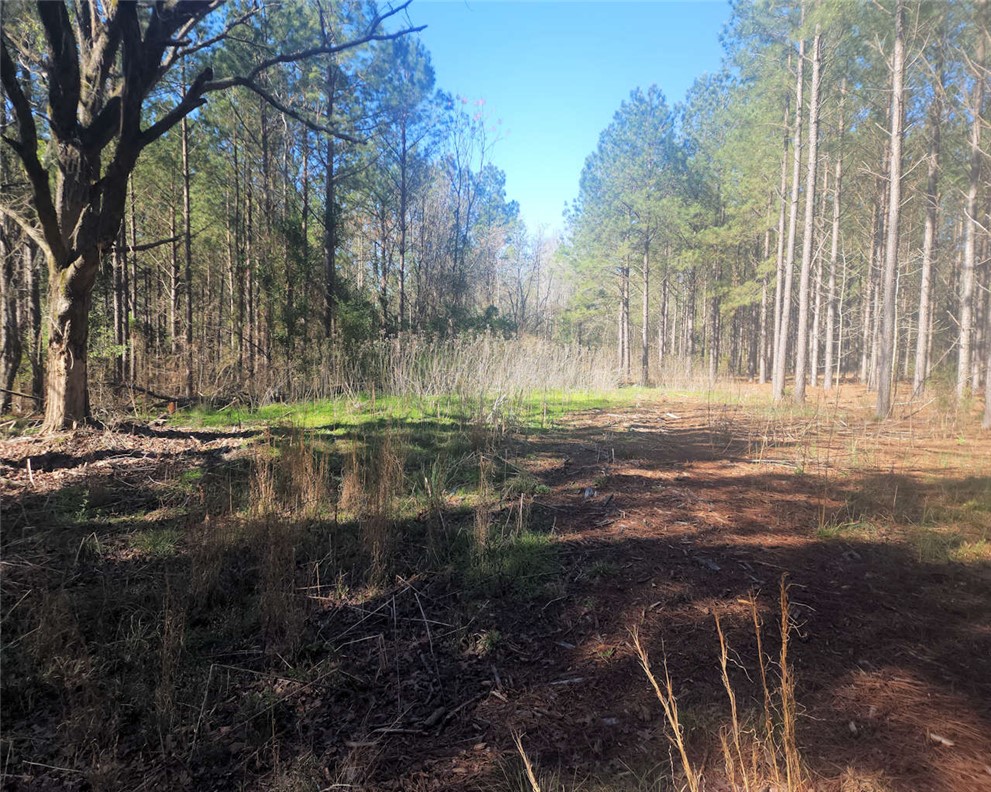 0 Ora Road Gray Court, SC 29645 - Photo 7 of 21