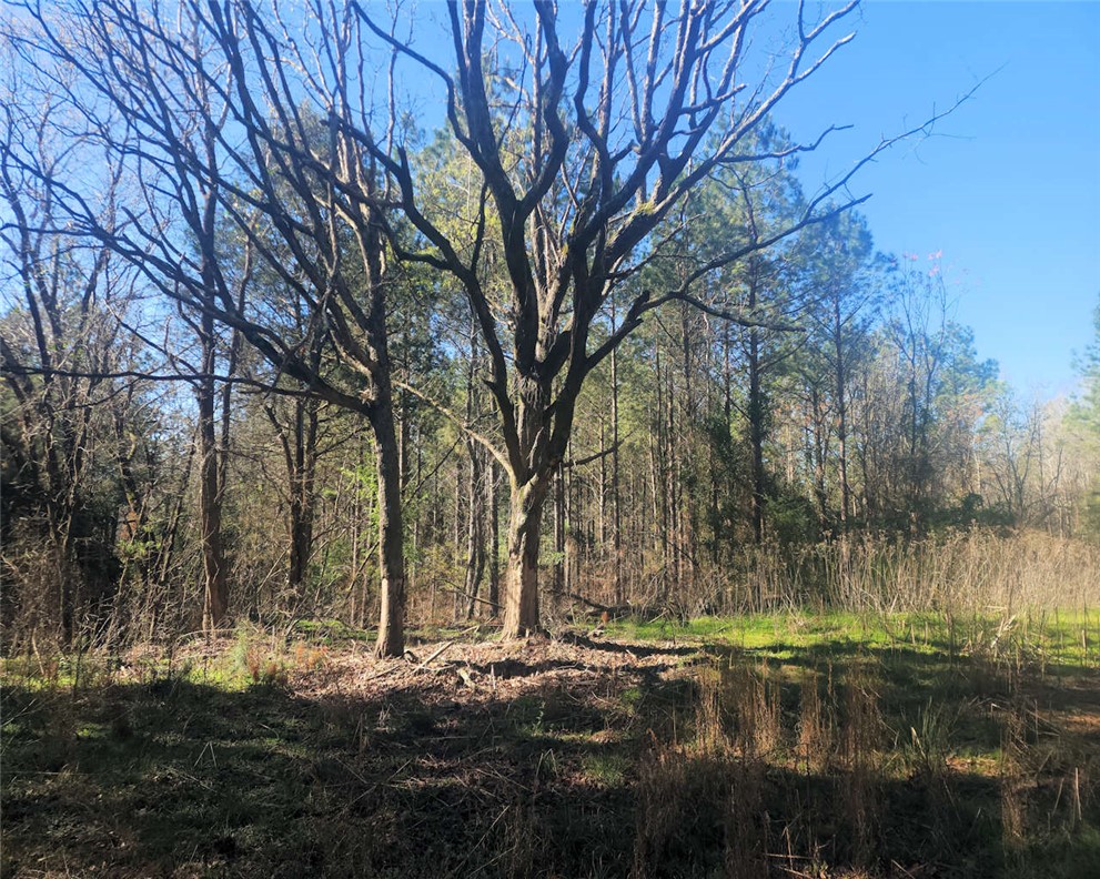 0 Ora Road Gray Court, SC 29645 - Photo 8 of 21