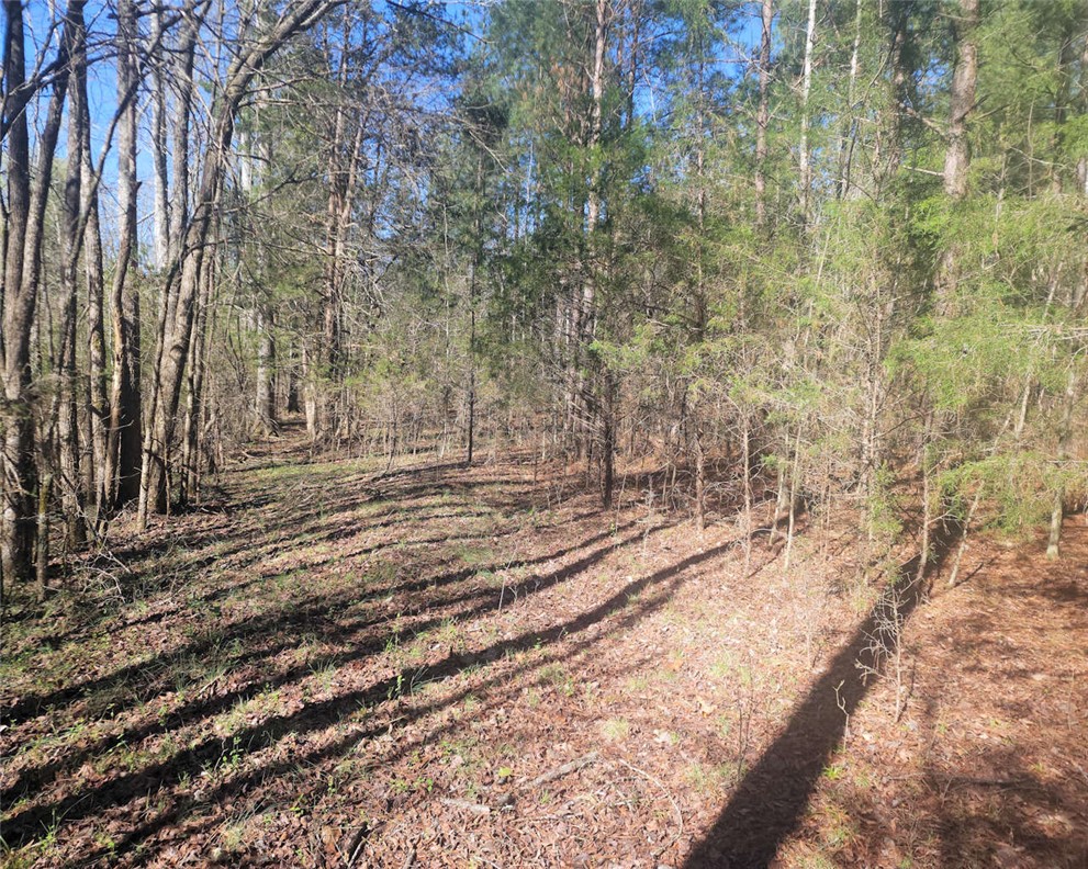 0 Ora Road Gray Court, SC 29645 - Photo 9 of 21