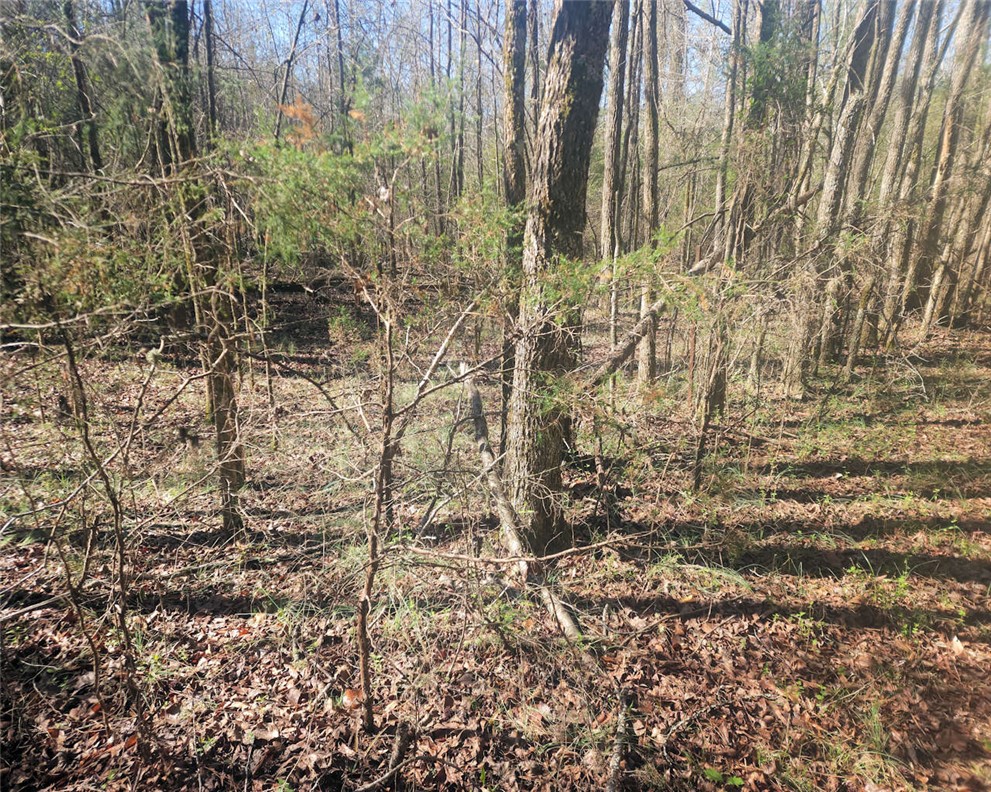 0 Ora Road Gray Court, SC 29645 - Photo 10 of 21