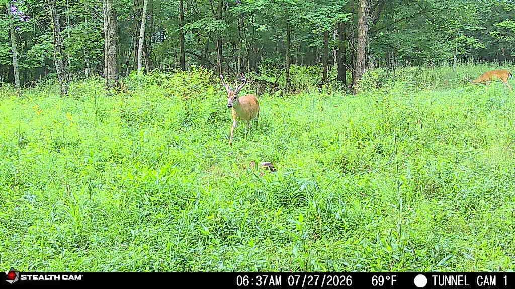1271 A Tunnel Ridge Road Grayson, KY 41143 - Photo 130 of 134 7.29.26 05