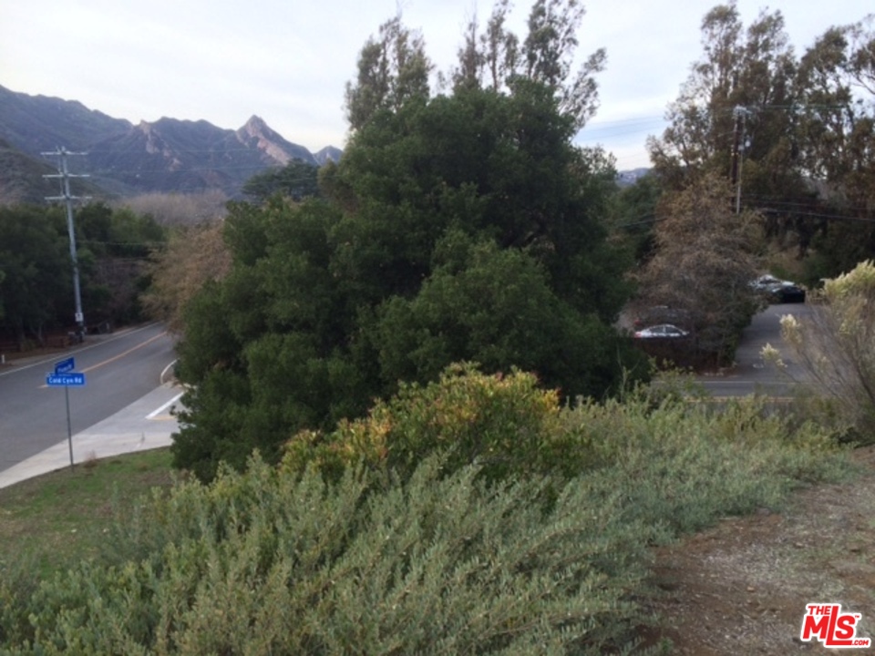 0 Cold Canyon Road Calabasas, CA 91302 - Photo 3 of 4