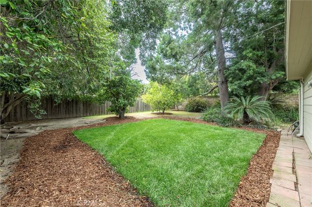 a view of a yard with plants and a tree