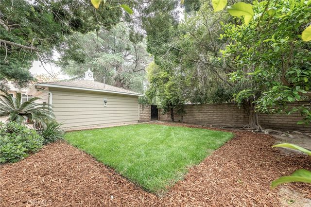 a view of a yard with potted plants and large trees