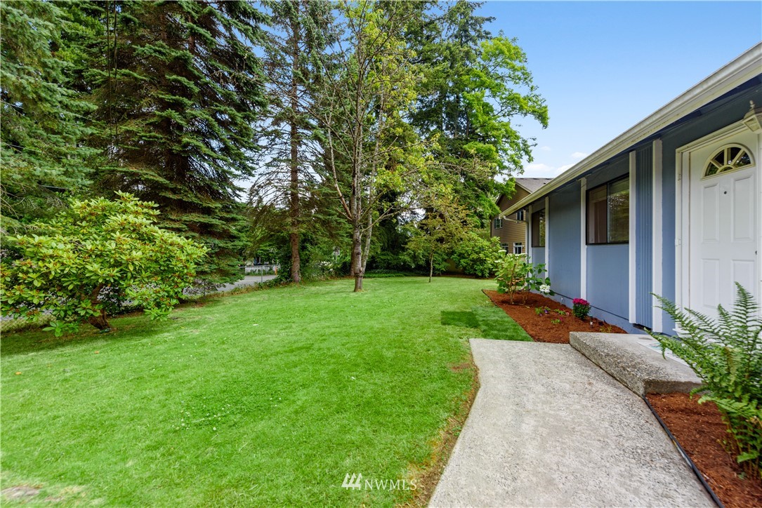 19910 Filbert Drive Bothell, WA 98012 - Photo 3 of 16 a view of a backyard with potted plants and large tree