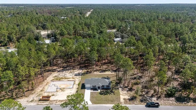 an aerial view of forest