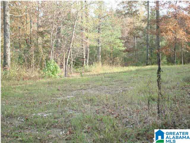 0 Ty Place, Unit 3 LOTS Ohatchee, AL 36271 - Photo 8 of 12