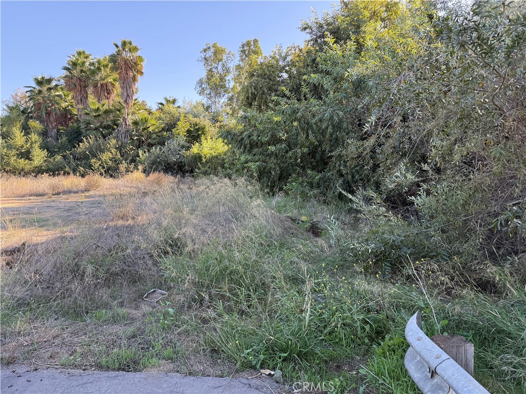 0 Colt Riverside, CA 92508 - Photo 4 of 4 a view of a yard with a tree