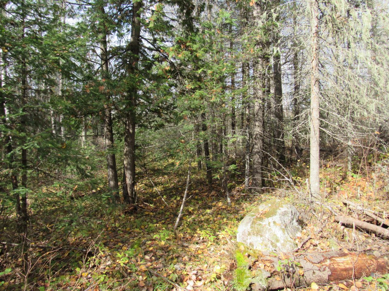 On Sheltrow Road, Unit LOT 10 Crystal Falls, MI 49920 - Photo 7 of 14 Gallery Image 7