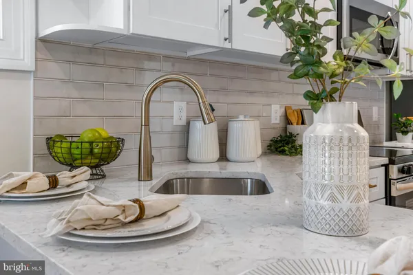 a closeup of a sink with a potted plant